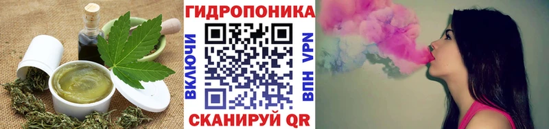 блэк спрут   Судогда  Еда ТГК конопля 