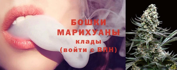 бошки Белокуриха