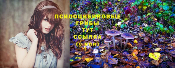 прущая мука Белоозёрский