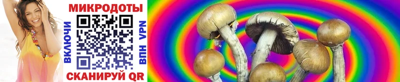 Псилоцибиновые грибы MAGIC MUSHROOMS Судогда